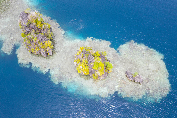 Le bellissime isole rocciose trovate a Raja Ampat, Indonesia, sono antiche barriere coralline che sono state sollevate da eventi tettonici milioni di anni fa. Le isole sono ora circondate da giovani e sane barriere coralline
. - Foto, immagini