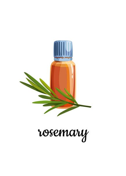 A bottle of rosemary essential oil with a sprig of rosemary.  - Vector, afbeelding