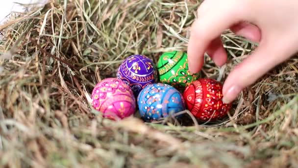 Una mano cvollects algunos huevos de Pascua de una pila de paja
. - Metraje, vídeo
