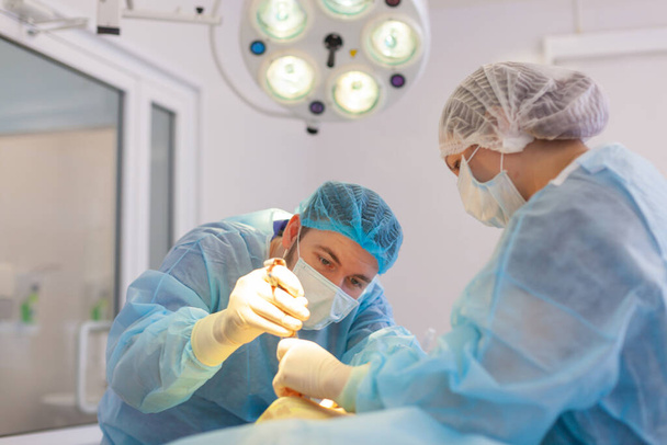 Kórházba. A sebész a műtőben dolgozik. Készítmények az implantátum mellnagyobbításra történő behelyezése előtt. - Fotó, kép