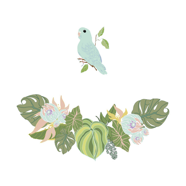 Vector illustration of tropical leaves and budgerigar isolated on white background. Doodle of palm leaves, pet plants and a budgie pet for printing on packaging. postcards, designers. clothes, - Vector, Image