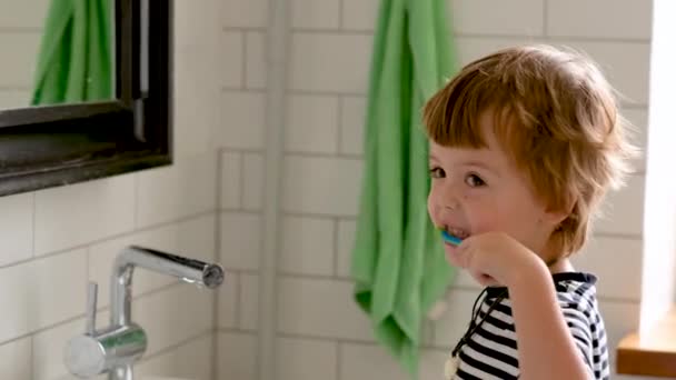 Child toddler, little boy is brushing his teeth - Záběry, video