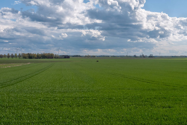 stürmischer Himmel über einem grünen, gesäten Feld. wunderschöne Frühlingslandschaft mit Windkraft im Hintergrund. Mittelschweden. - Foto, Bild