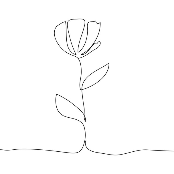 Linia wektorowa kwiat sztuki. Minimalizm, elegancja - Wektor, obraz