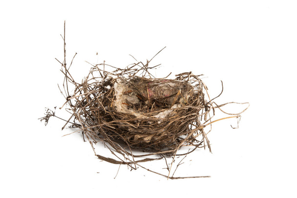 bird nest isolated on white background - Fotó, kép
