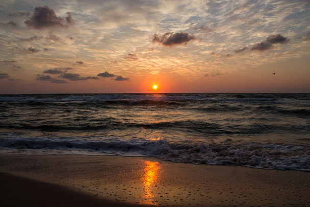 Sunrise - Photo, Image