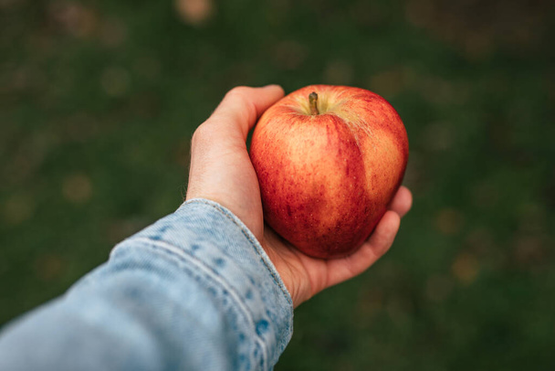Male hand holding a red ripe apple - Foto, imagen