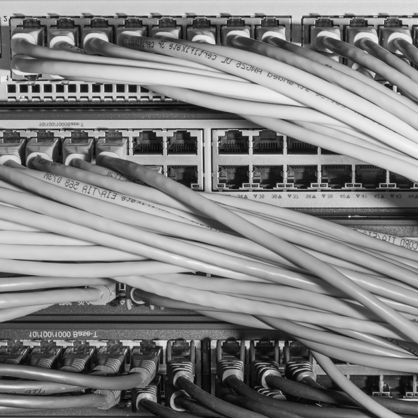 síťové kabely připojené k přepínači - Fotografie, Obrázek