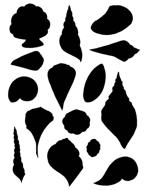 Schwarze Silhouette große unterschiedliche Muschel Sammlung tropische Muscheln flache Vektorillustration auf weißem Hintergrund. - Vektor, Bild