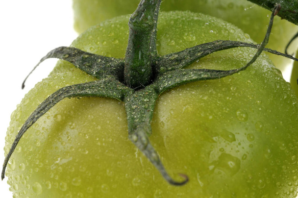 Close-up fresh organic green tomato - Фото, зображення