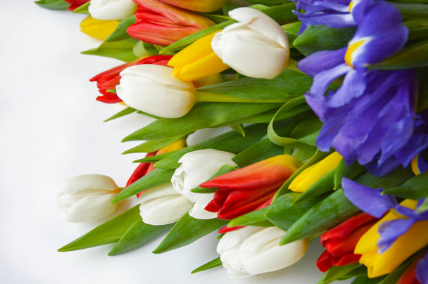 Bright bouquet of tulips . Flowers are white ,red, yellow, and blue. - Foto, Bild
