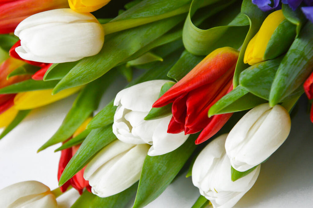 Heller Strauß Tulpen. Die Blüten sind weiß, rot, gelb und blau. - Foto, Bild