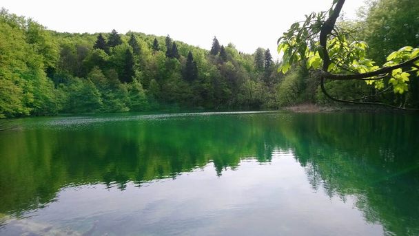 Hırvatistan. Plitvice Gölleri. Etrafı dağlarla çevrili güzel bir göl. Olağanüstü doğa ve renklere sahip ulusal park. - Fotoğraf, Görsel