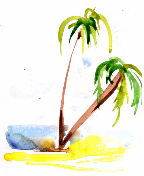 summer palms sea beach watercolor illustration vocation travel ocean island - Zdjęcie, obraz