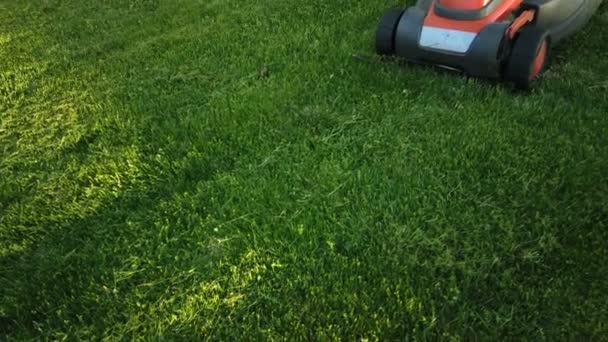Lawn mower cutting the grass - Footage, Video