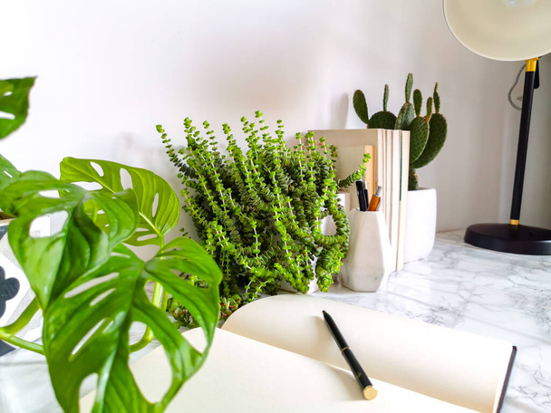 Interior de trabajo blanco brillante con plantas de interior y artículos de papelería creando un ambiente de trabajo sin estrés
 - Foto, imagen