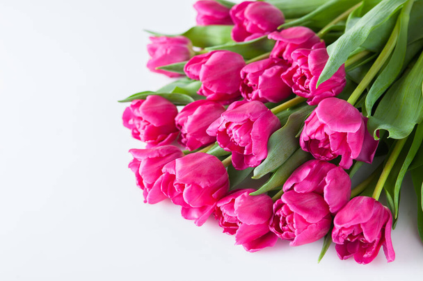 schöne rosa Tulpen auf rosa Hintergrund - Blumen und Pflanzen - Foto, Bild