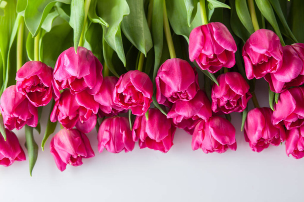 adorables tulipanes rosados sobre fondo rosado - flores nad plantas
 - Foto, imagen