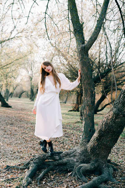 Açık beyaz elbiseli ve siyah ayakkabılı çekici sarışın bir kızın portresi bir ağacın kökünde duruyor. - Fotoğraf, Görsel