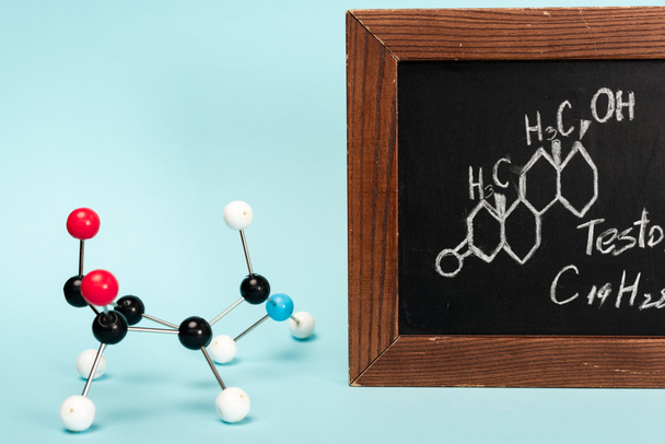 Hormone construction near blackboard with formula of testosterone on blue background - Photo, Image