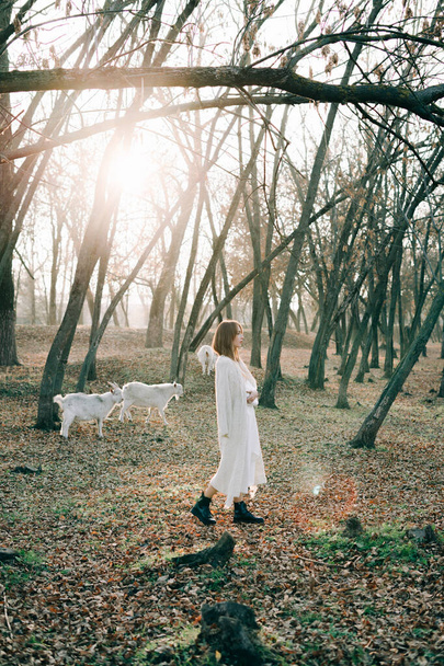 portret van een jong aantrekkelijk blond meisje in een licht witte jurk en zwarte schoenen in een pittoresk bos met geiten - Foto, afbeelding