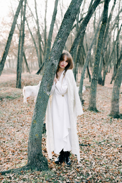 portrait d'une jeune jolie jeune fille aux cheveux blonds dans une robe blanche claire et des chaussures noires dans une forêt pittoresque avec des chèvres
 - Photo, image
