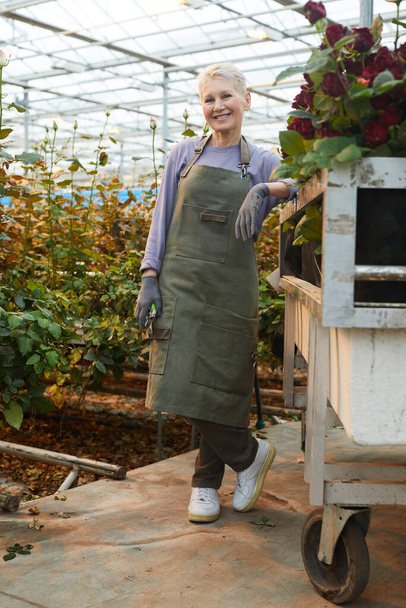 jardinero de pie en invernadero
 - Foto, Imagen