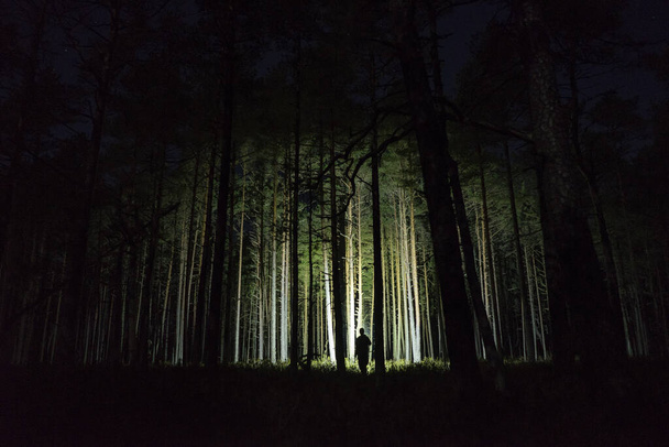 man with flashlight in the forest beetween trees - Valokuva, kuva