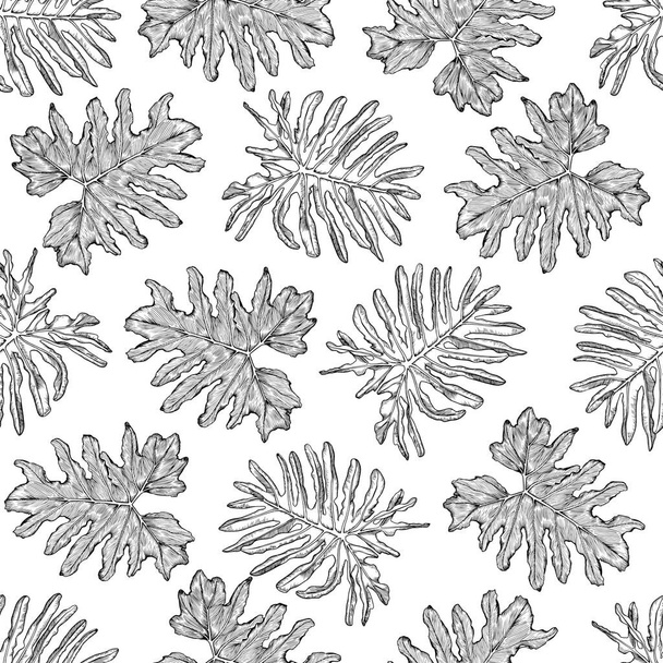 Seamless pattern with sketchy black and white philodendron leaves. - Vektor, obrázek