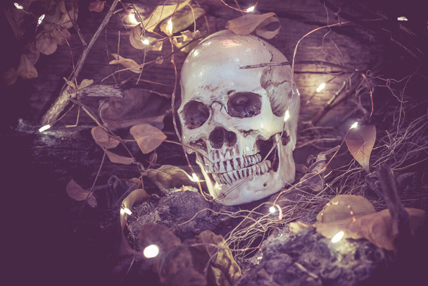 Skull and scary scene for Halloween - Photo, Image