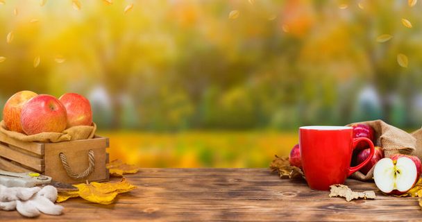 Fall harvest cornucopia. Cup of Hot apple tea for Autumn season warm drink. Copy space on wood background. - Photo, Image