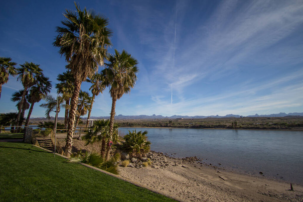 Laughlin Nevada Waterfront. Playa con una arboleda de palmeras en el río Colorado en el distrito costero de Laughlin Nevada
. - Foto, imagen