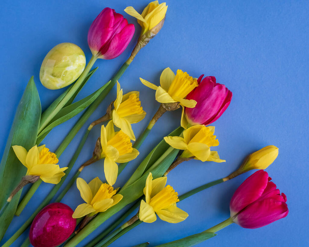 Güzel bahar çiçekleri laleler, nergisler ve mavi arka planda paskalya yumurtaları.. - Fotoğraf, Görsel
