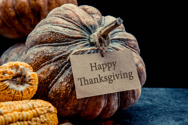close-up shot of harvested pumpkins for thanksgiving day background - 写真・画像