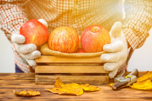 close-up shot of ripe fresh apples with fallen maple leaves on wooden table for background - Photo, image