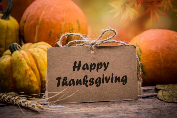 крупным планом собранные тыквы на фоне Дня благодарения
 - Фото, изображение