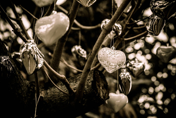 close-up shot of heart shaped decorations hanging on tree in colors of sepia, Valentines day concept - Photo, Image