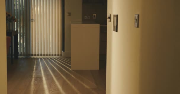 Sunlight streaming através das cortinas em um apartamento da cidade no verão
 - Filmagem, Vídeo