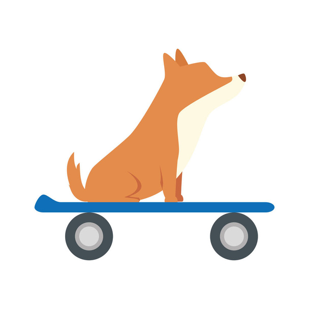 słodkie zwierzę pies w deskorolce izolowane ikona - Wektor, obraz