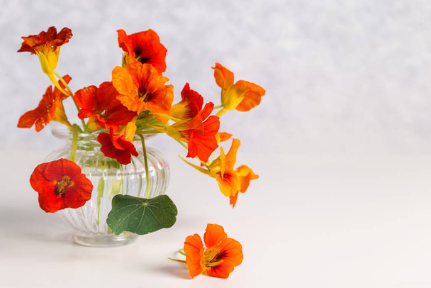 Nasturtium flowers in a glass vase on a light background. Lovely bouquet. A romantic gift. - Photo, Image
