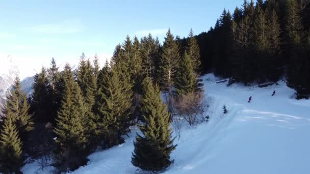 Εναέρια χειμερινή σκηνή των αλπικών χιονισμένες βουνοκορφές και σκοτεινό δάσος ερυθρελάτης στο χιόνι - Πλάνα, βίντεο