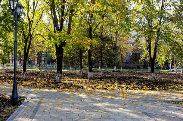 Autumn Park, morning of a Sunny day fallen leaves in the sun. - Φωτογραφία, εικόνα