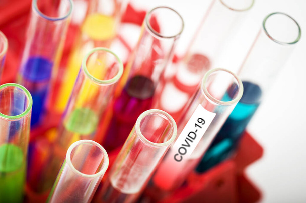 Groupe de éprouvettes de laboratoire avec liquides Coronavirus dans un rack, isolées
 - Photo, image