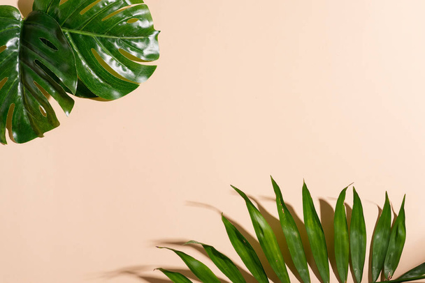 Угловая рамка поздравления из зеленых веточек тропических экзотических листьев на пастельно-бежевом фоне
. - Фото, изображение