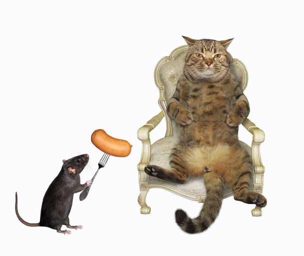 Die beige Katze sitzt im antiken Holzsessel. Die schwarze Ratte füttert ihn mit einer Wurst auf einer Gabel. Weißer Hintergrund. Isoliert. - Foto, Bild