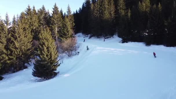 Aerial winter scene of alpine snowy mountain peaks and dark spruce forest in snow - Footage, Video