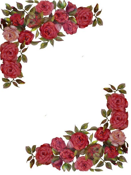 Blumenrahmen, Öl von rosa Rosen Blumen, Handgemalte Illustration. Vereinzelt auf weißem Hintergrund. Ideal für die Gestaltung von Grußkarten, Hochzeitseinladungen, Etiketten. - Foto, Bild