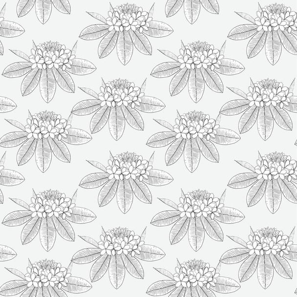 Modèle sans couture Plumeria. Blanc mince ligne noire croquis fleurs sur bleu clair illustration vectorielle de stock pour le web, pour imprimer, pour la couverture, pour le papier peint
 - Vecteur, image