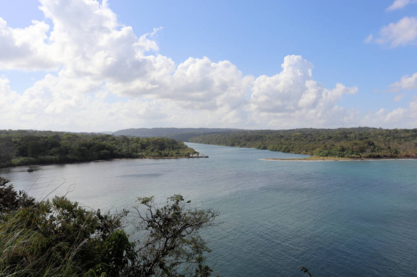 Карибський пляж, біля Панамського каналу, тропічний ліс. - Фото, зображення