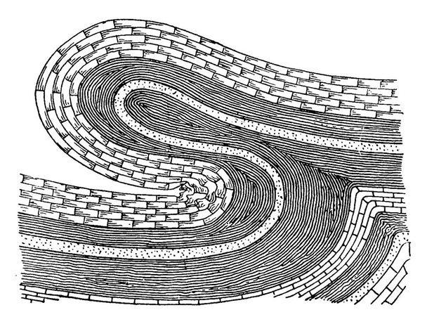 An overthrust anticline of a strata fold, a reverse fault, and each half of the fold dips away from the crest, vintage line drawing or engraving illustration. - Vector, Image
